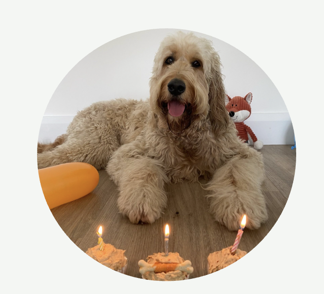 Hand-baked-cakes-galway Hand-baked-cakes-galway