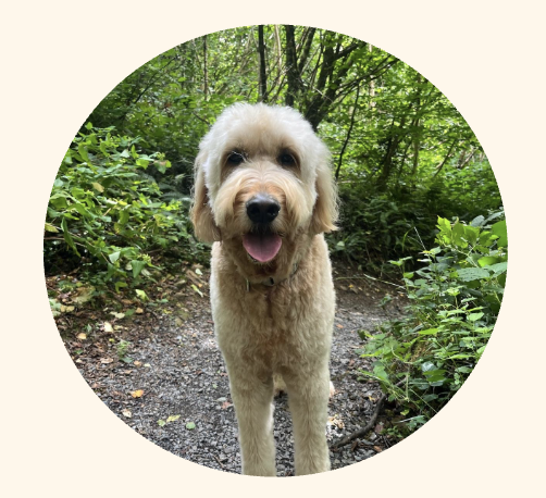 Screenshot 2025-11-20 at 21.17.57